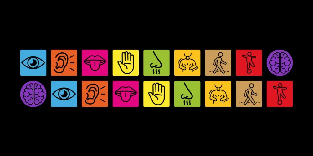 Colorful icon set illustrating the eight sensory systems: sight, hearing, taste, touch, smell, interoception, proprioception, vestibular, and the brain